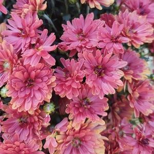 Meet your Posher, Katelyn